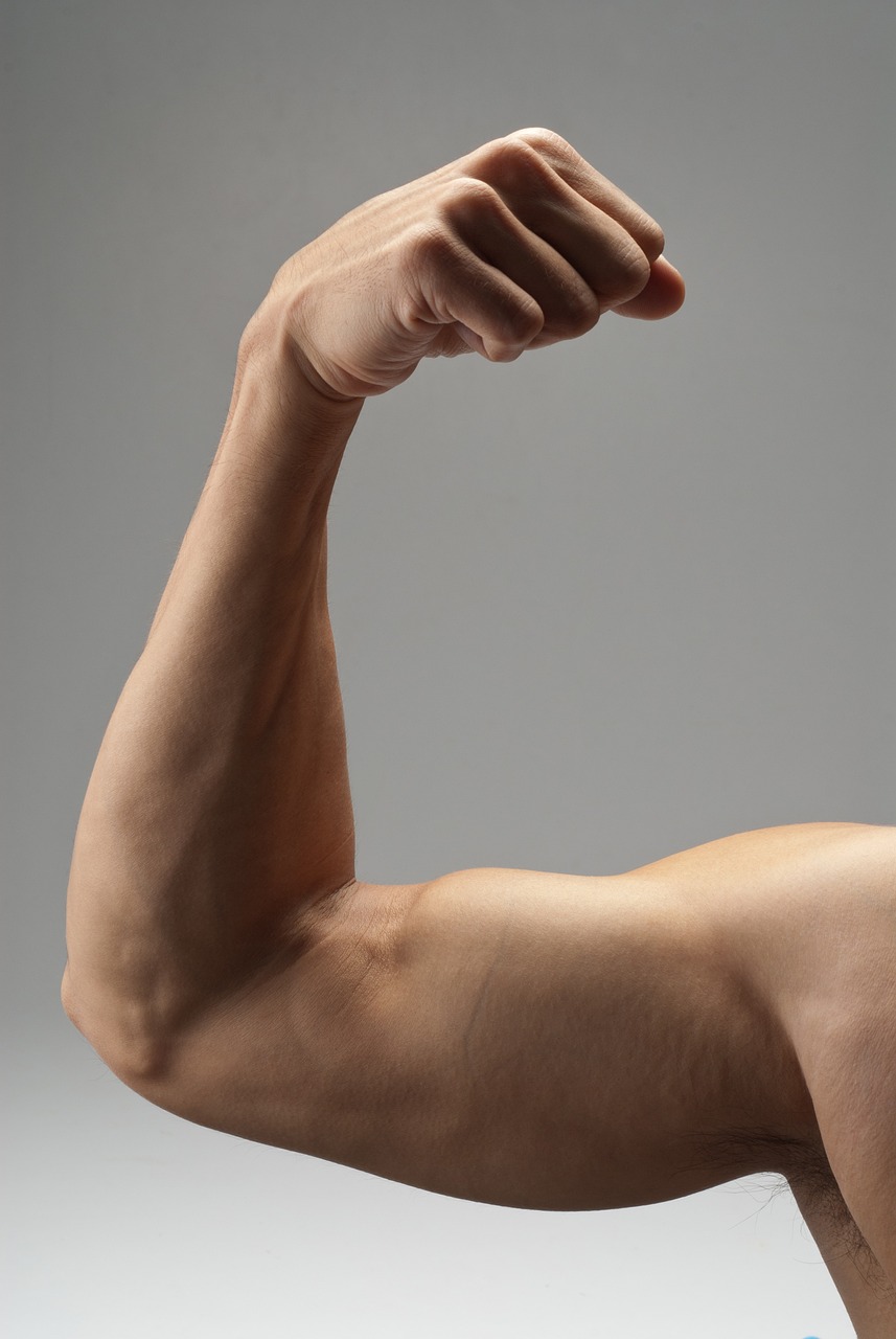 arm, muscle, strong-735823.jpg